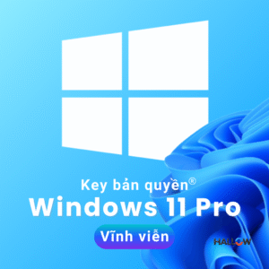 Windows 11 Pro