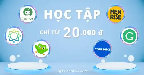 Tạp hóa hallow học tập